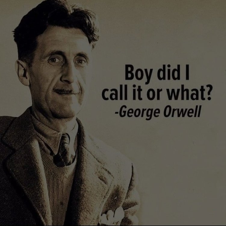 7E507651-4C5E-4B86-821B-FA74A4D6F9FD.jpeg
