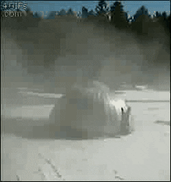giphy.gif.ba19ced1deb82fd5c470b62fc64b45e3.gif