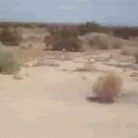 image.gif.8d264b7c6f47a5faeccd1518bc4d64c2.gif
