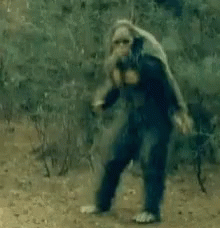 sasquatch-bigfoot.gif.28bccc445e8072f9e0f5ba43119bd718.gif