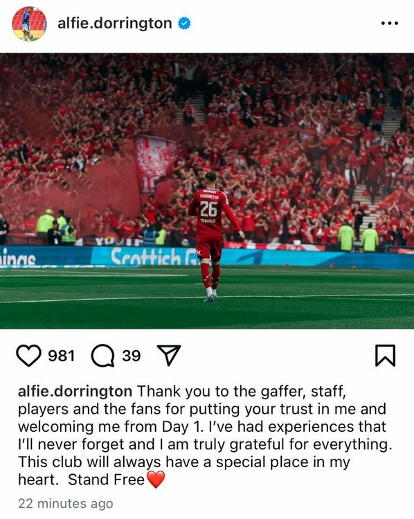 Alfie.jpg