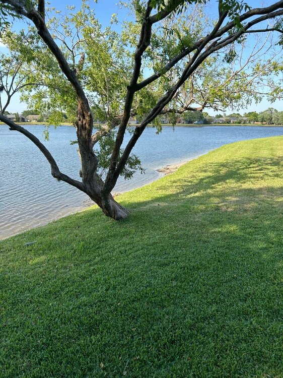 image.thumb.jpeg.a4f7eb0bed33f2fd6dbc3a3326a31adb.jpeg