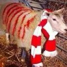 Blow.Up.Sheep