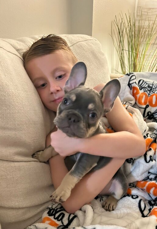 image.thumb.jpeg.7b0a362e60af5a9792f8e60b0cfe7c0a.jpeg